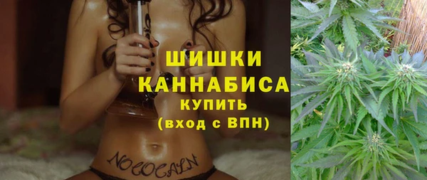 амф Алзамай