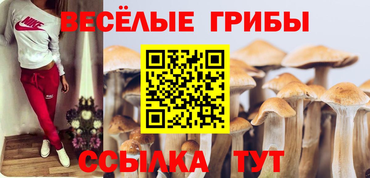 Северодвинск  Псилоцибиновые грибы мицелий  Галлюциногенные грибы Magic Shrooms  Вход с VPN 